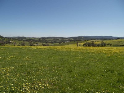 20 ACRES APPROX Picture 20 ACRES APPROX Picture