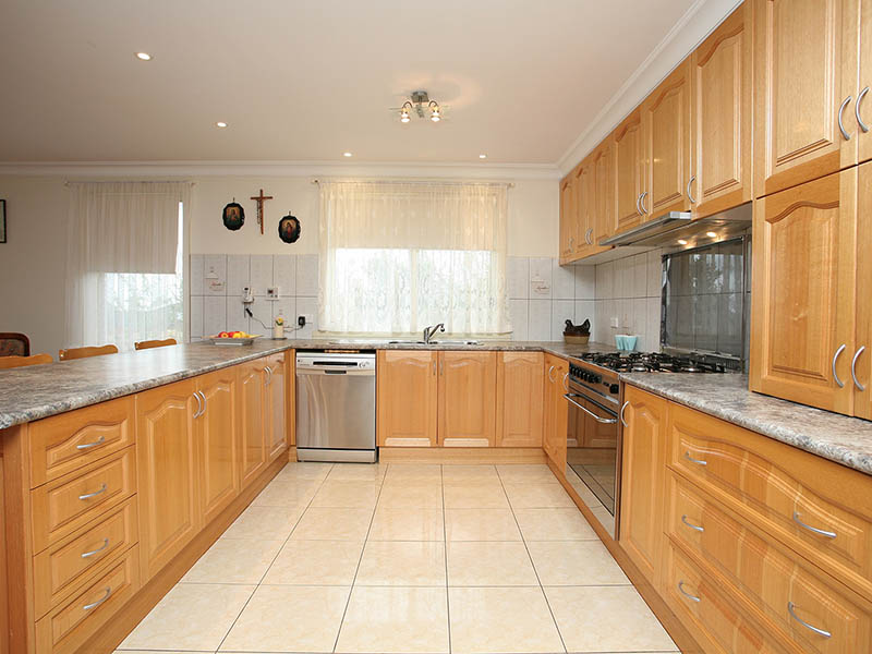 Bellbird beauty Picture 2