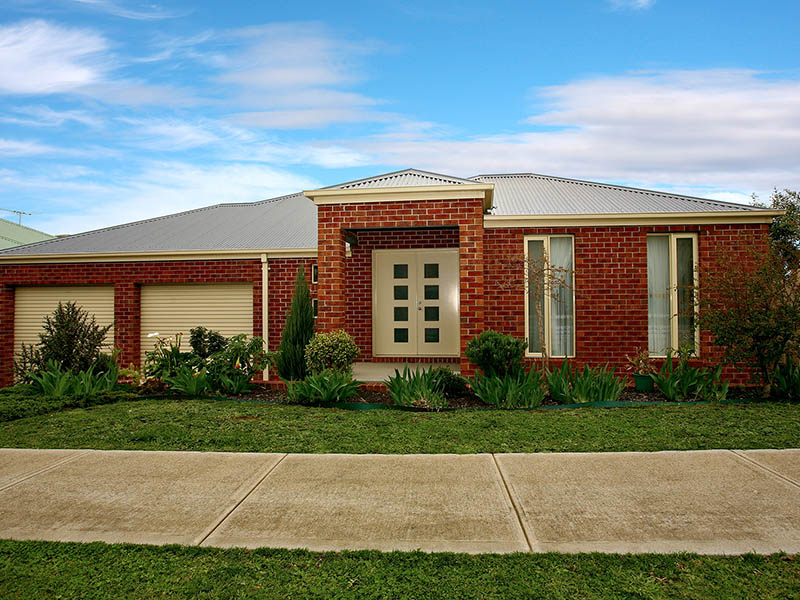 Bellbird beauty Picture 1