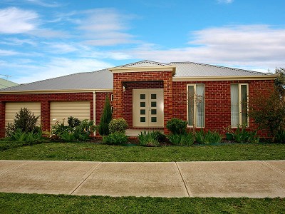 Bellbird beauty Picture Bellbird beauty Picture