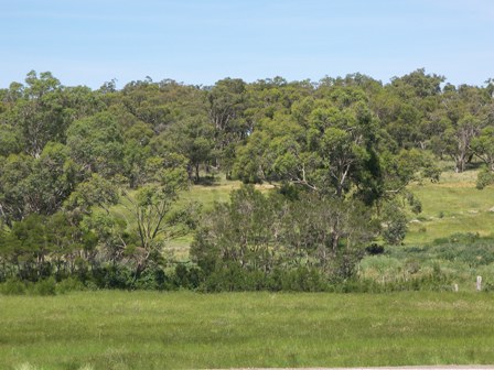 URGENT SALE! Picture 2