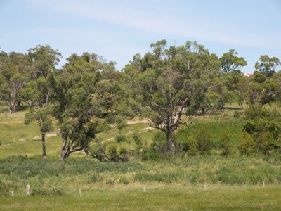 URGENT SALE! Picture URGENT SALE! Picture