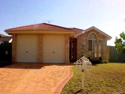 Investment Special Picture