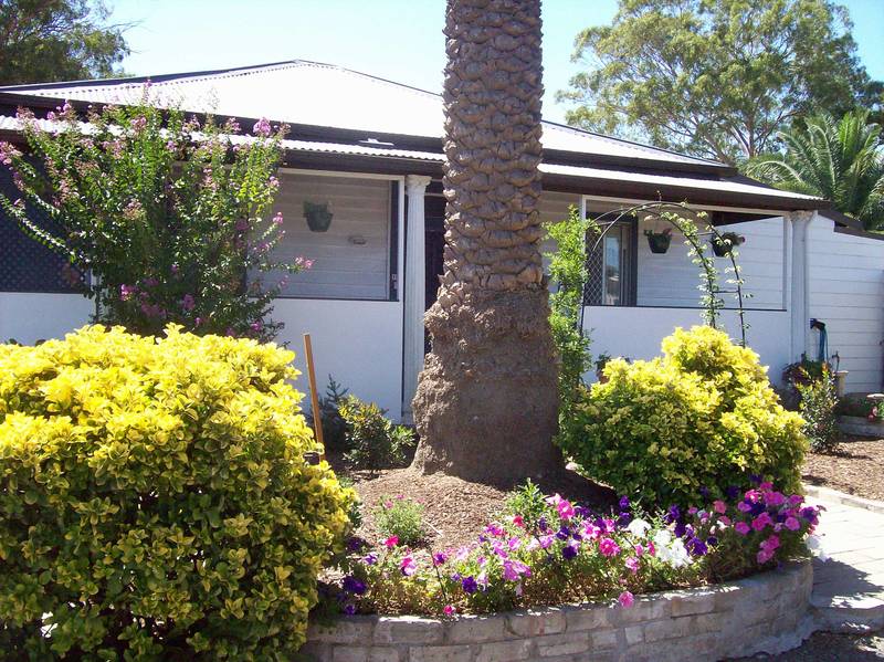 A Real Surprise Package - No Spending Required Picture 2