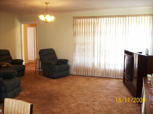 Just in time for Christmas! Picture 3