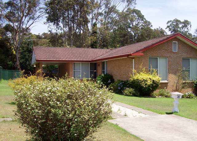 Just in time for Christmas! Picture 1