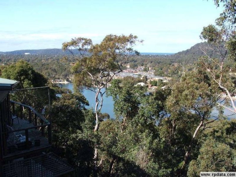 BUSH & BAY Picture 2