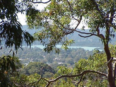 Dreaming of designing your own pole-home? Picture