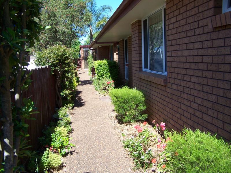 Sunny and Spacious Picture 2