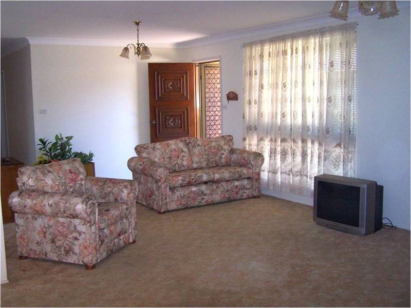 Sunny and Spacious Picture 3