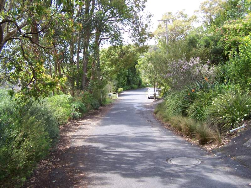 RUN TO PARADISE Picture 3