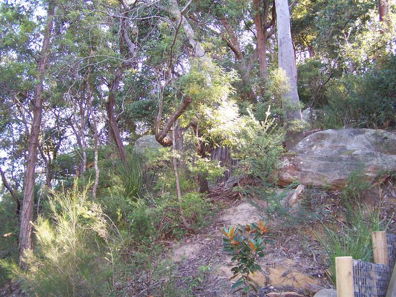 WATERFRONT-RESERVE LAND Picture 3