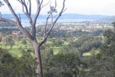 POSITION PERFECT Picture POSITION PERFECT Picture