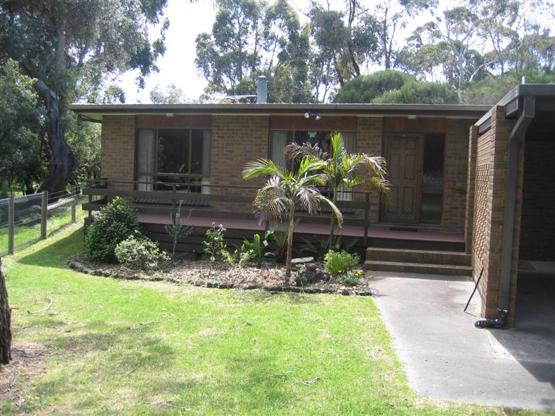 HT104 - SENSATIONAL SILVERLEAVES Picture 2