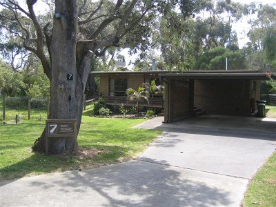 HT104 - SENSATIONAL SILVERLEAVES Picture HT104 - SENSATIONAL SILVERLEAVES Picture