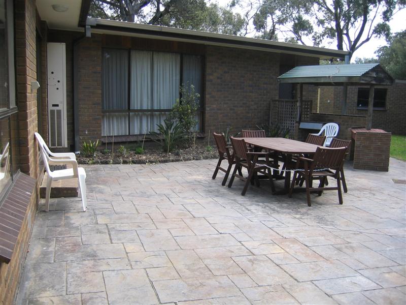 HT104 - SENSATIONAL SILVERLEAVES Picture 3