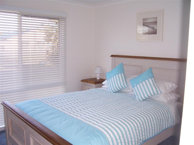 Silver Surf Picture 3