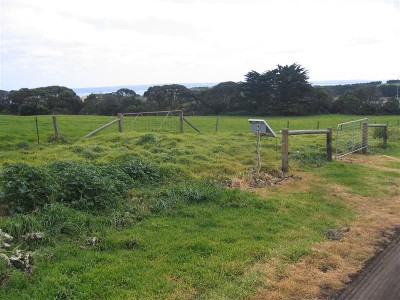 BEST OF THE BEST Picture