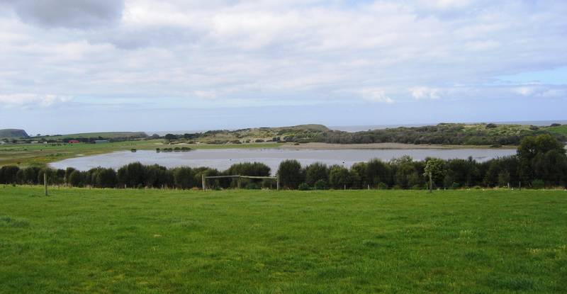 BEST OF THE BEST Picture 3