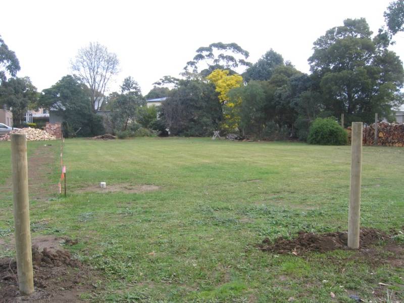 GOLDEN OPPORTUNITY Picture 1