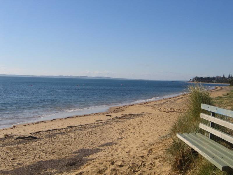 GOLDEN OPPORTUNITY Picture 3