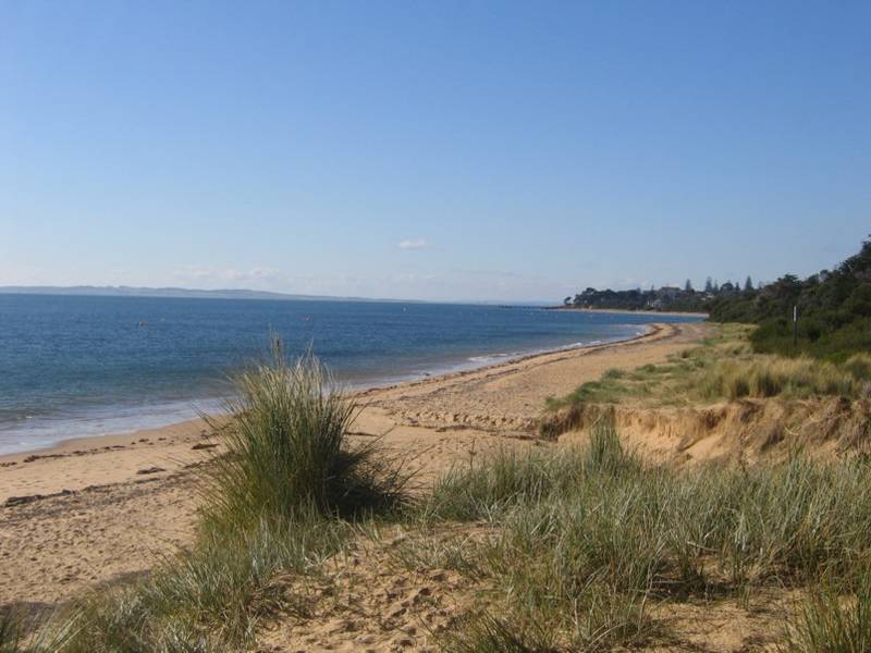 GOLDEN OPPORTUNITY Picture 2