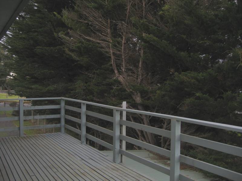 Hear the Surf Picture 2