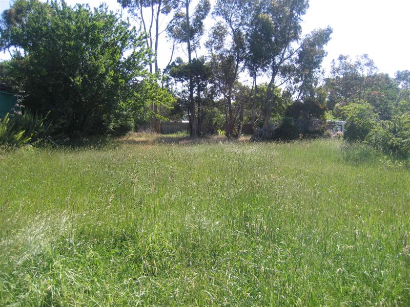 What A Location Picture 1