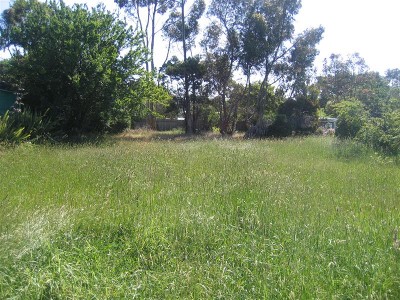 What A Location Picture