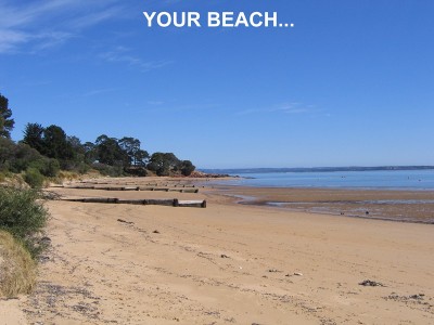 Just a Hop, Skip & Jump away from Paradise.. Picture