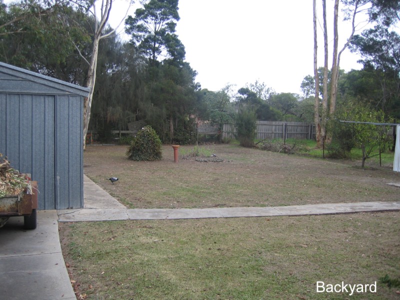 Enjoy Now... Develop Later..... Picture 3