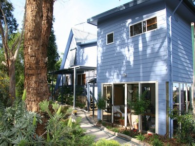 Chicken Soup for the Soul... Picture