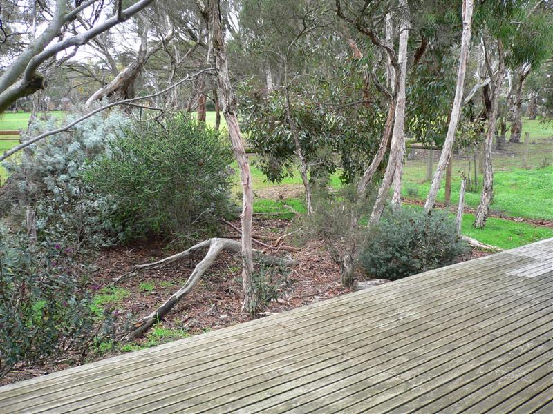 FAMILY FUN Picture 3