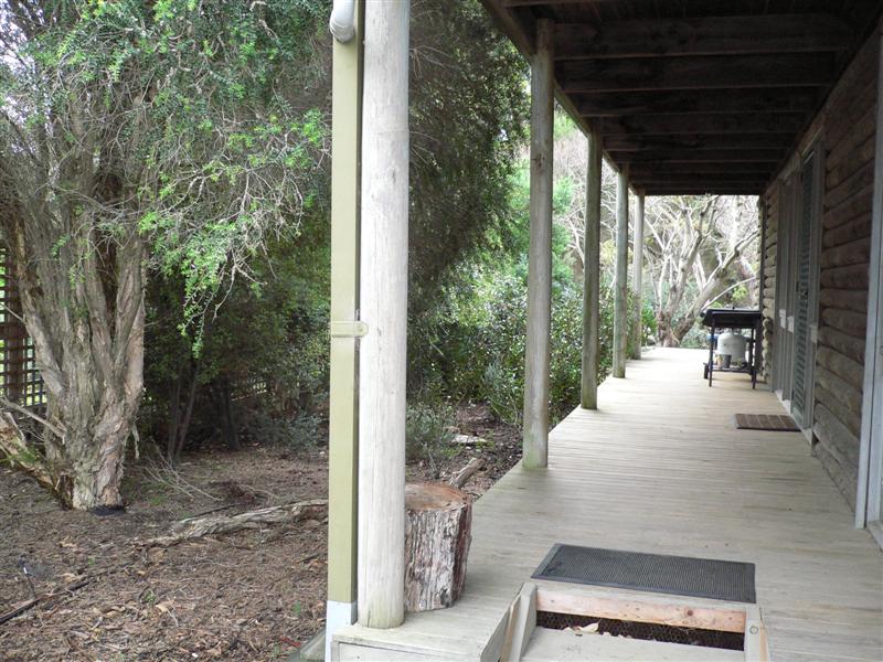 FAMILY FUN Picture 2