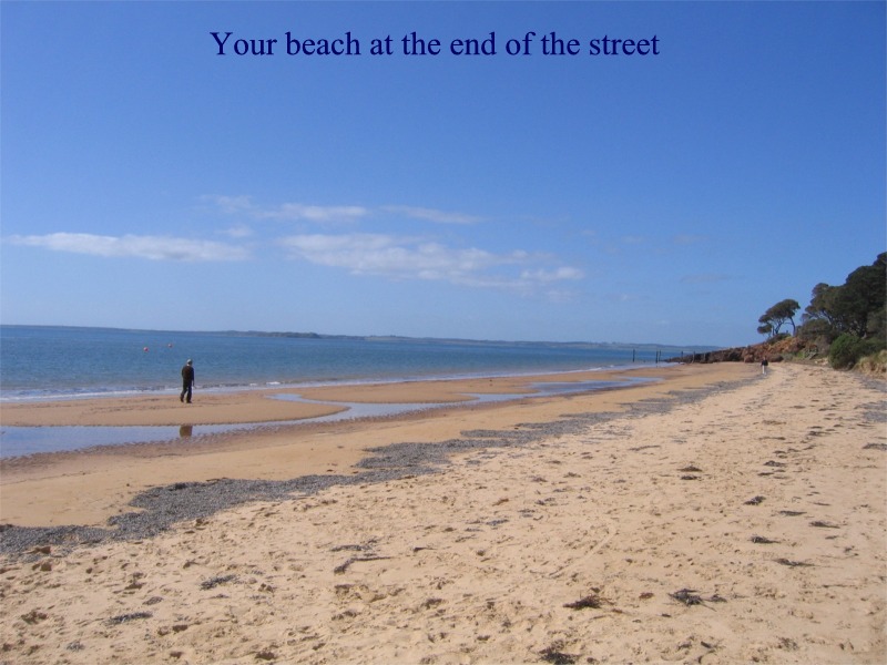 Something Special in Cowes... Picture 2