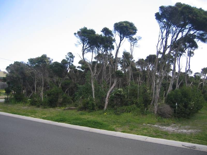 Great Building Block!! Picture 1