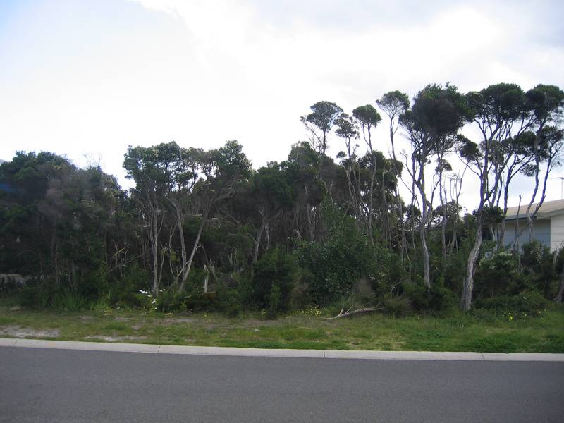 Great Building Block!! Picture 2