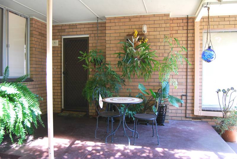 Close to Town Picture 2