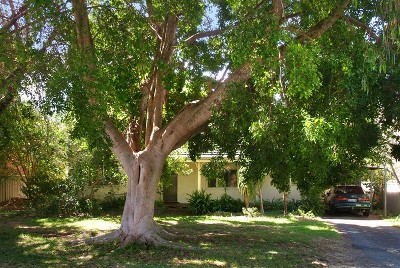 3 MINUTE WALK TO BEACH - BEAUTIFULLY RENOVATED Picture 3 MINUTE WALK TO BEACH - BEAUTIFULLY RENOVATED Picture