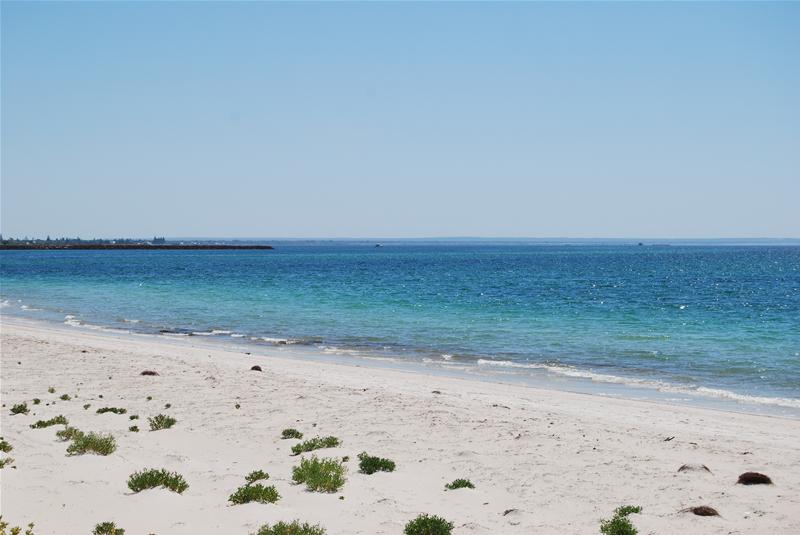 ABSOLUTE BEACHFRONT Picture 2