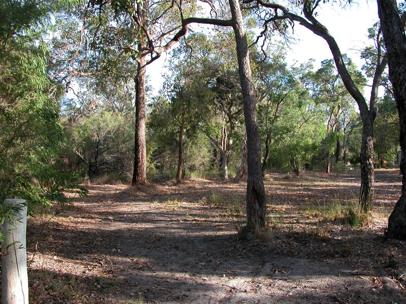 ACRE IN HEART OF TOWN Picture 2