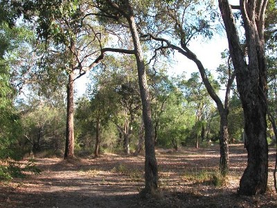 ACRE IN HEART OF TOWN Picture