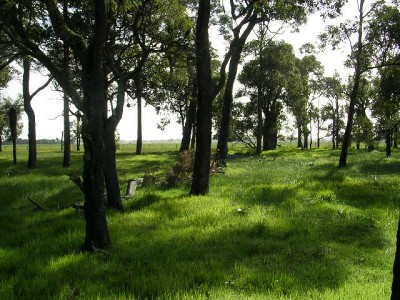 EXPERIENCE THE RURAL LIFESTYLE WITH 5000SQM LOTS Picture