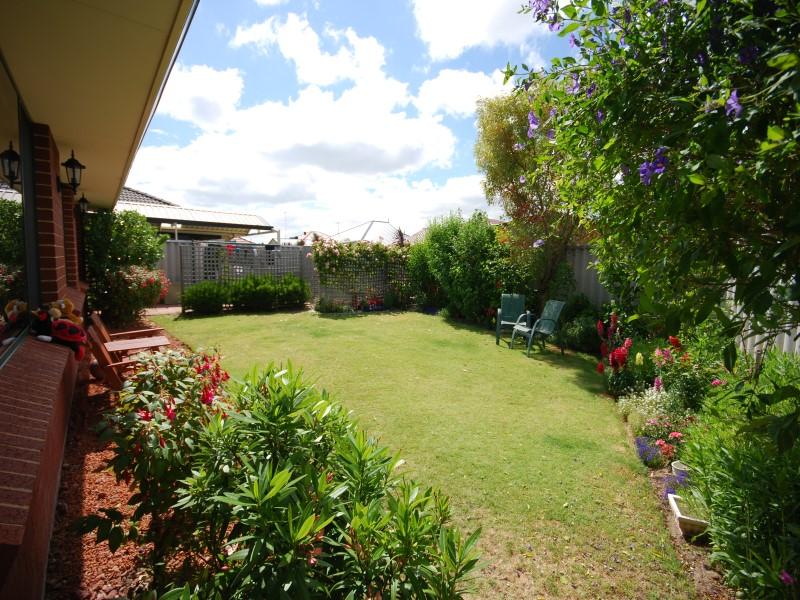 JUMP FOR JOY Picture 2