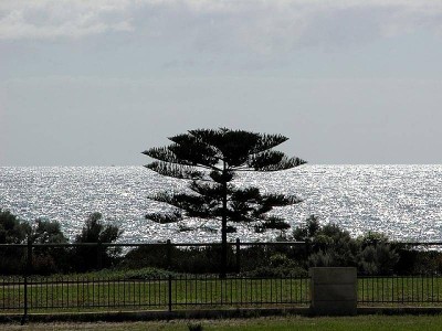 OH WHAT A FEELING Picture