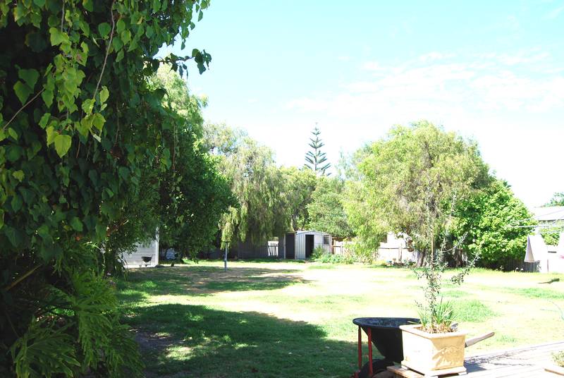 QUIET LEAFY STREET Picture 3