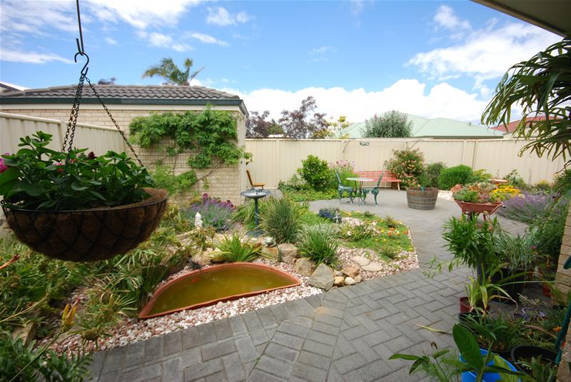 SCARCE AS HENS TEETH Picture 2