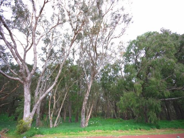 STUNNING VIEWS Picture 3