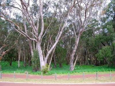 STUNNING VIEWS Picture STUNNING VIEWS Picture