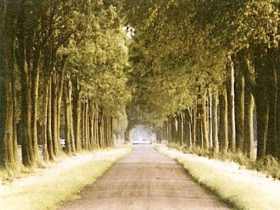 VERY LARGE LOT BARGAIN BUYING Picture VERY LARGE LOT BARGAIN BUYING Picture